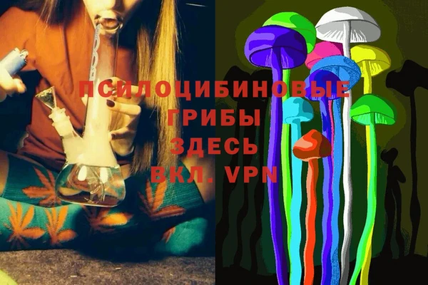 MESCALINE Аркадак