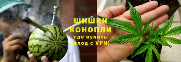 гашик Арсеньев