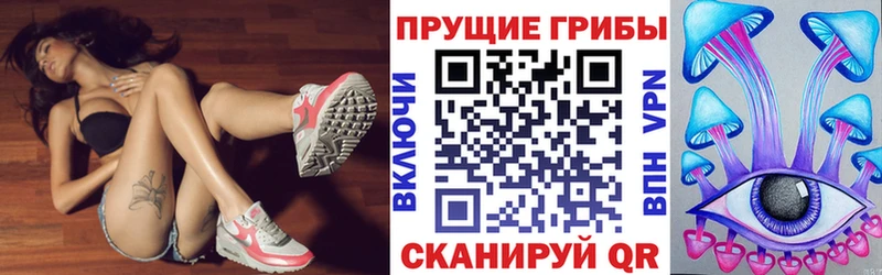 Псилоцибиновые грибы MAGIC MUSHROOMS  Купить закладки  Кстово 